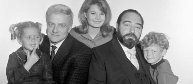 Can You Name These ’60s TV Shows?