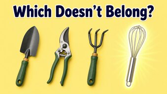 Only 1 In 10 People Can Find All The Odd Items