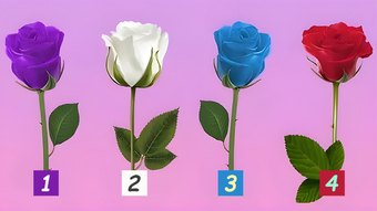 Choose A Rose To Test What Kind Of Love You Will Get!