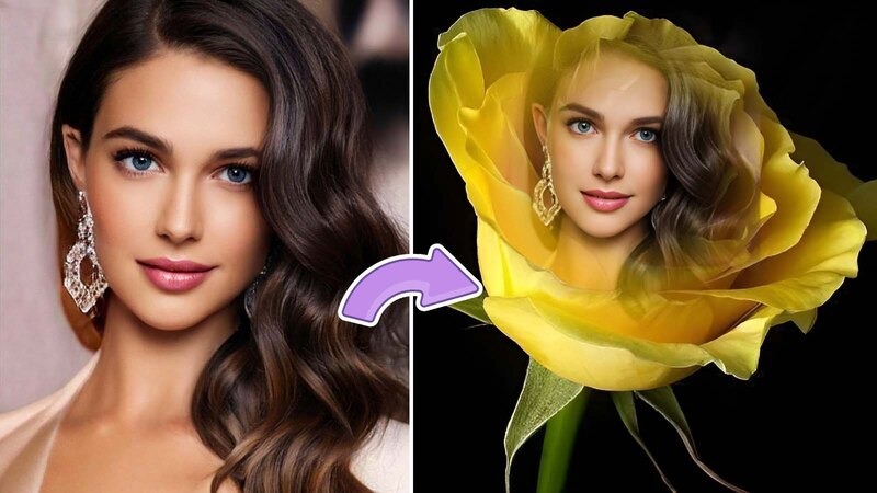 Frame Your Photos With This Yellow Rose Blooms