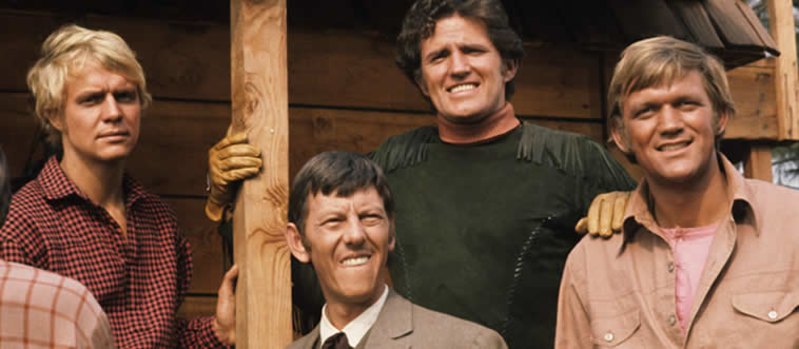 Can You Name These ’60s TV Shows?