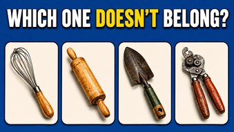 Only 1 In 10 People Can Find All The Odd Items